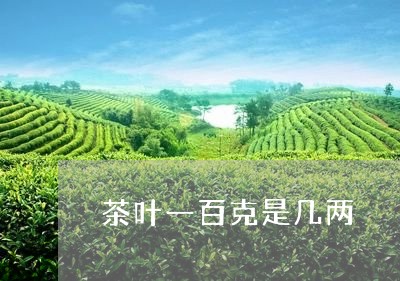 茶叶一百克是几两/2023032629501