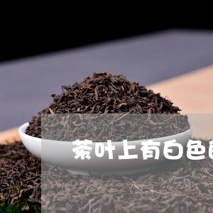 茶叶上有白色的毛/2023032538304