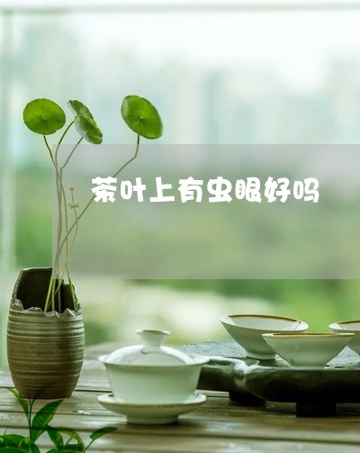 茶叶上有虫眼好吗/2023032674581