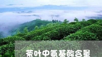 茶叶中氨基酸含量/2023032644490