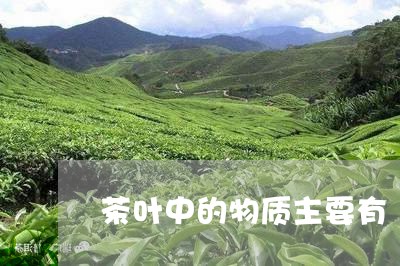 茶叶中的物质主要有/2023032206251