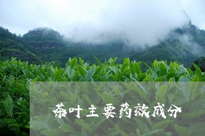 茶叶主要药效成分/2023032605150