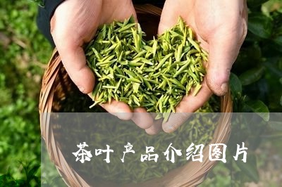 茶叶产品介绍图片/2023032508473