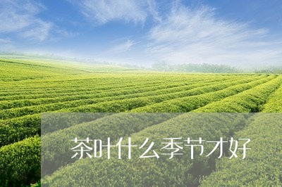 茶叶什么季节才好/2023032662605