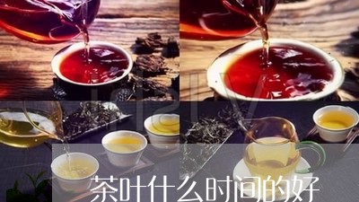 茶叶什么时间的好/2023032663606