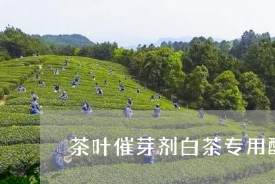 茶叶催芽剂白茶专用配方/2023032850605