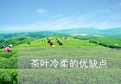 茶叶冷柔的优缺点/2023032629481