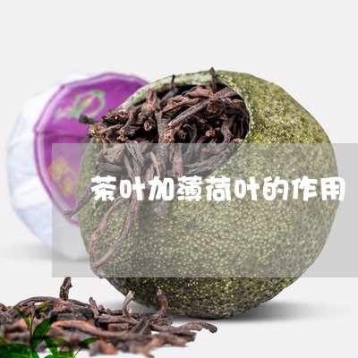 茶叶加薄荷叶的作用/2023032273948