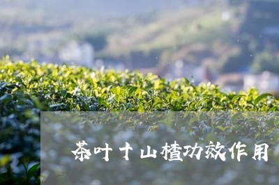 茶叶十山楂功效作用/2023032263927