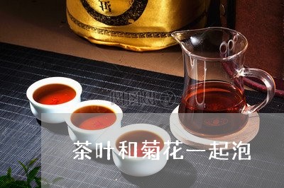 茶叶和菊花一起泡/2023032509401