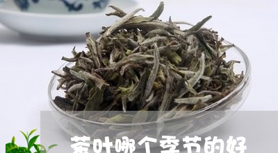 茶叶哪个季节的好/2023032679506