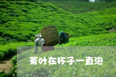 茶叶在杯子一直泡/2023032531593