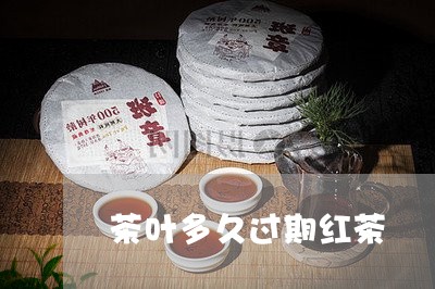 茶叶多久过期红茶/2023032708268