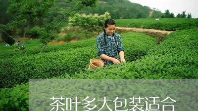 茶叶多大包装适合/2023032646958