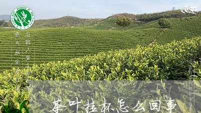 茶叶挂杯怎么回事/2023032540413