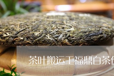 茶叶搬运工福鼎白茶价格/2023032828381