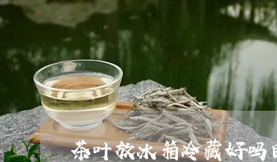 茶叶放冰箱冷藏好吗白茶/2023032877161