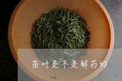 茶叶是不是解药的/2023032629271