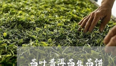 茶叶普洱茶生茶饼/2023032931603