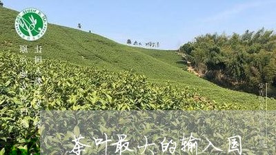 茶叶最大的输入国/2023032633038