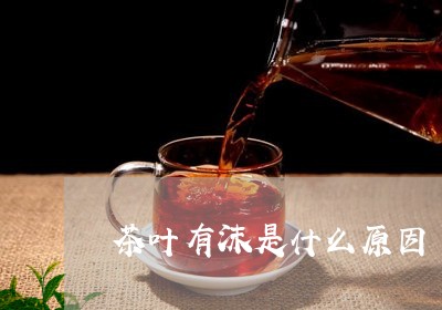 茶叶有沫是什么原因/2023032288405