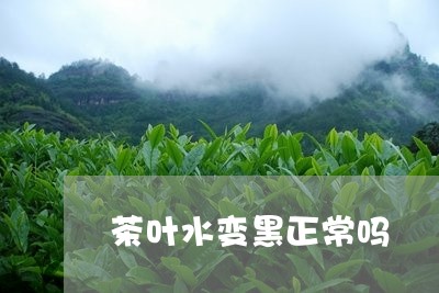 茶叶水变黑正常吗/2023032608482