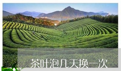 茶叶泡几天换一次/2023032646491