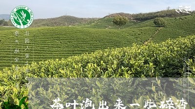 茶叶泡出来一些碎渣/2023032208161