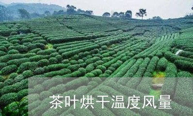 茶叶烘干温度风量/2023032645928