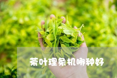 茶叶理条机哪种好/2023032640482