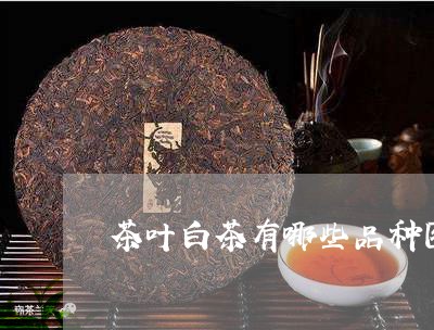 茶叶白茶有哪些品种图片/2023032898584