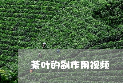 茶叶的副作用视频/2023032531504