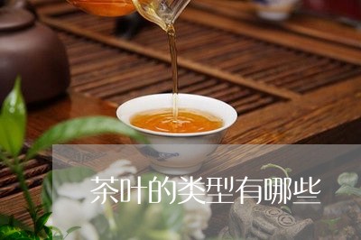 茶叶的类型有哪些/2023032571613