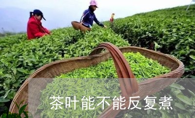 茶叶能不能反复煮/2023032553807