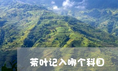 茶叶记入哪个科目/2023032510604