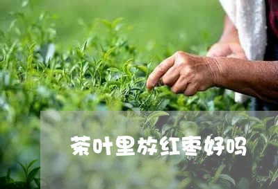 茶叶里放红枣好吗/2023032675240