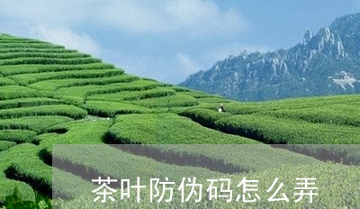 茶叶防伪码怎么弄/2023032513846