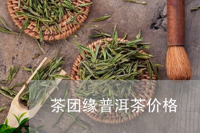 茶团缘普洱茶价格/2023041158262