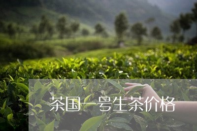 茶国一号生茶价格/2023032521592