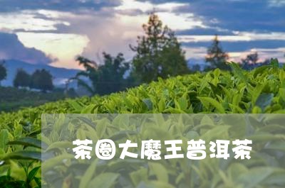 茶圈大魔王普洱茶/2023041167272