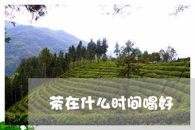 茶在什么时间喝好/2023032262915