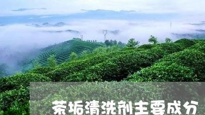 茶垢清洗剂主要成分/2023041589282