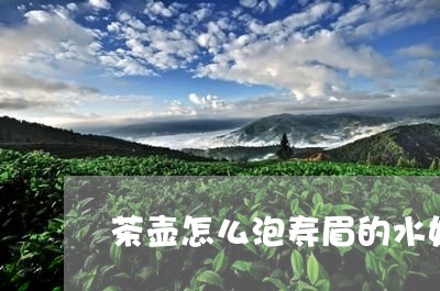 茶壶怎么泡寿眉的水好渴/2023032704826