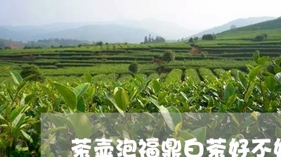 茶壶泡福鼎白茶好不好呢/2023032731693