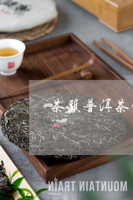 茶头普洱茶的茶头/2023041173915