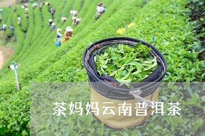 茶妈妈云南普洱茶/2023031746270