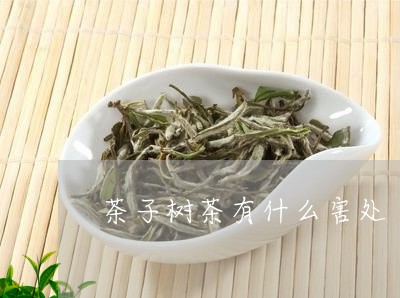 茶子树茶有什么害处/2023041560592