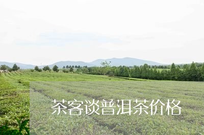 茶客谈普洱茶价格/2023041232715