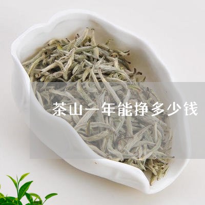 茶山一年能挣多少钱/2023041693828