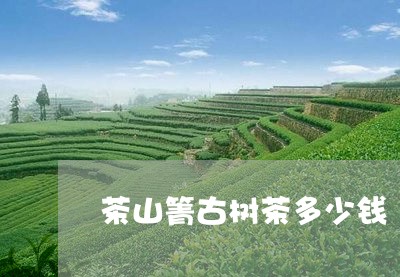 茶山箐古树茶多少钱/2023032283617